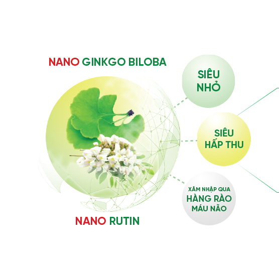 Dưỡng Não Ích Nhân là sự kết hợp tối ưu giữa